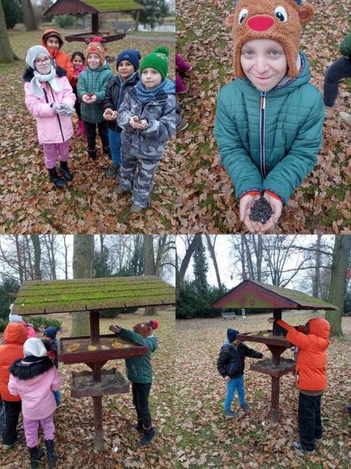 Ptáčku, co ti dáme do&nbsp;zobáčku?