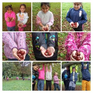 OBJEVOVÁNÍ PODZIMNÍ PŘÍRODY 1